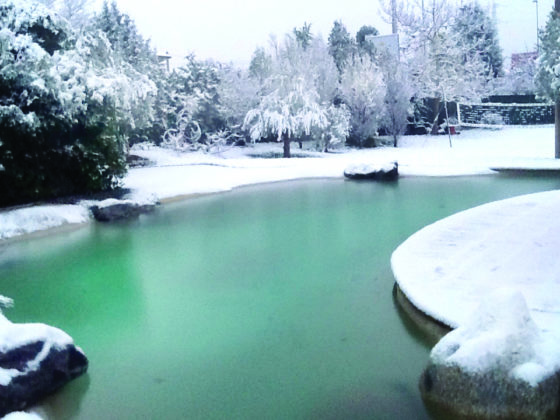 piscine lagon sous la neige