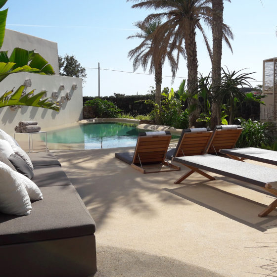 piscine lagon avec grande terrasse et palmiers