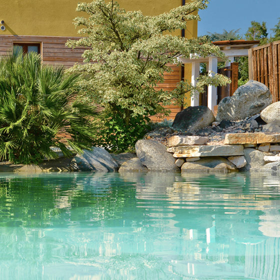 piscine avec cascade dans un petit jardin paysager